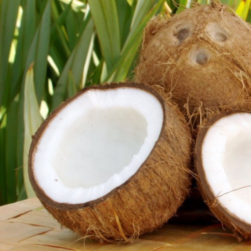 ALTEYA ORGANICS - BIO COCONUT OIL - 100 ml.