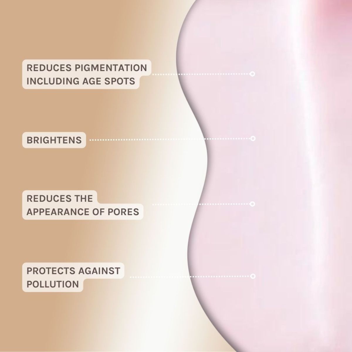 Evolve - Resveratrol + Niacinamide Serum - 30 ml