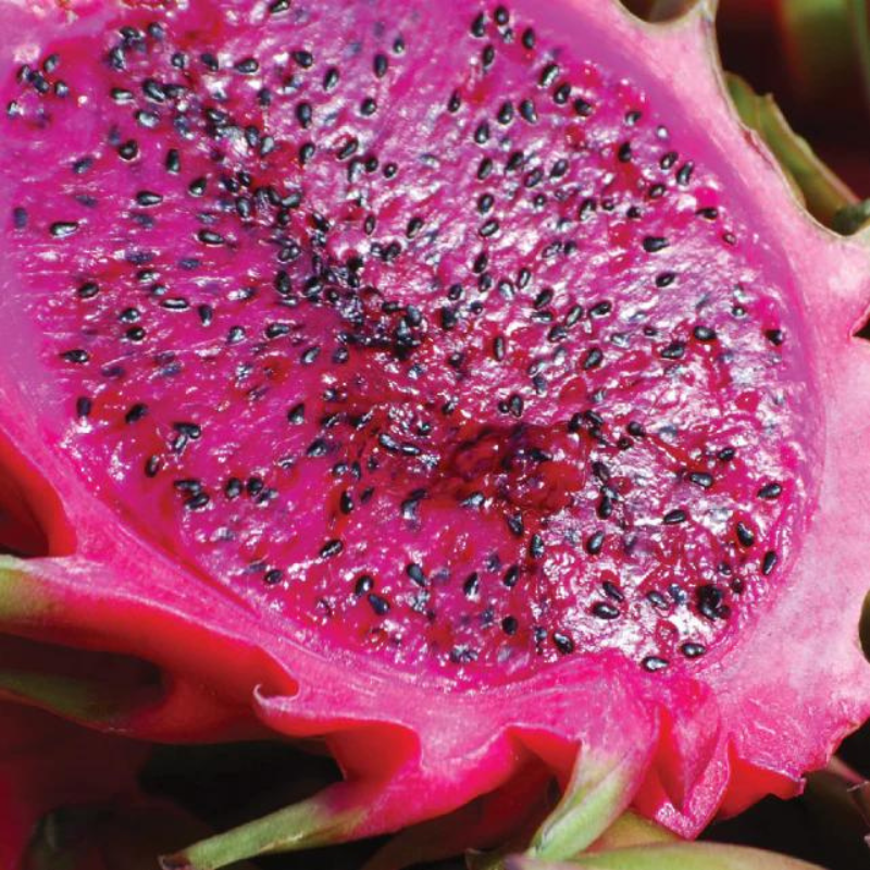 Superfoods - Color Defense Beauty Mask Treatment -Prickly Pear Seed - 236 ml