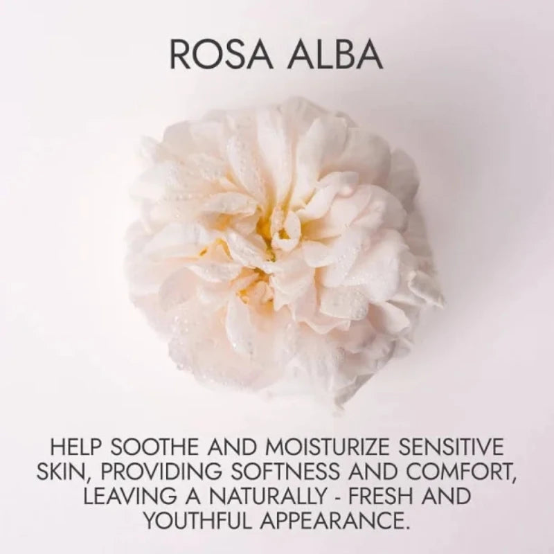 ALTEYA ORGANICS - ALBA WHITE ROSE WATER - 100ML